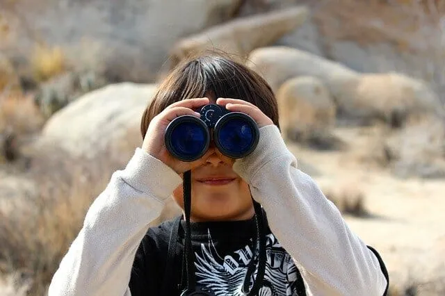 Visual stimulus processing. Read here the signals that may indicate problems in the processing of visual stimuli.