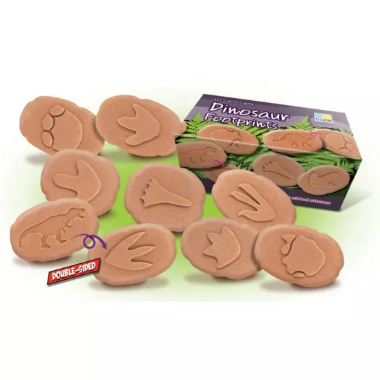 The dinosaur footprints is a set consisting of 8 stones with which your child gets to know the dinosaurs with their footprint, but can also stamp them.