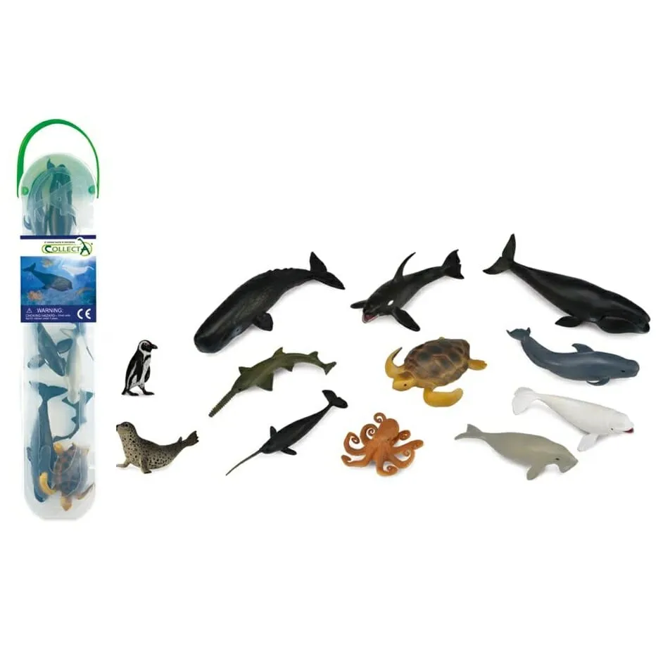 collecta marine animals set B consists of 12 animals. These mini aquatic animals are useful in a sensory bin with waterbeads or in a water table or tuff tray