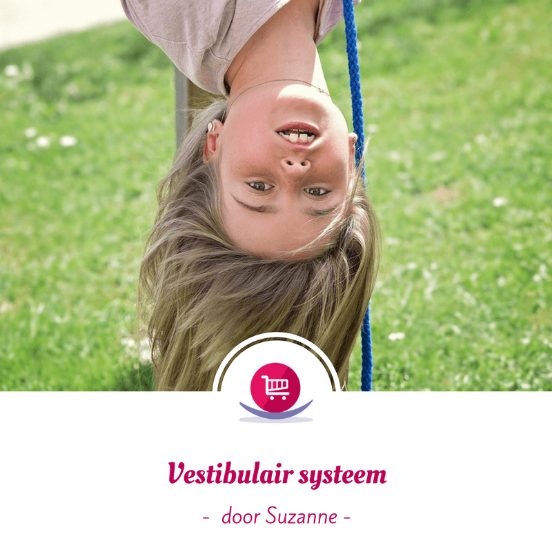Vestibular system