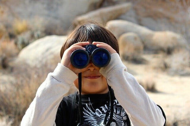 Visual stimulus processing. Read here the signals that may indicate problems in the processing of visual stimuli.