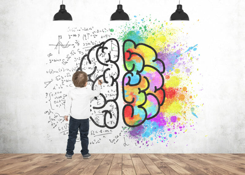 The senses: Many people know the senses: hearing, touch, smell, smell and movement. In this article I zoom in on 8 senses of the sensory system and effect on stimulus processing.
