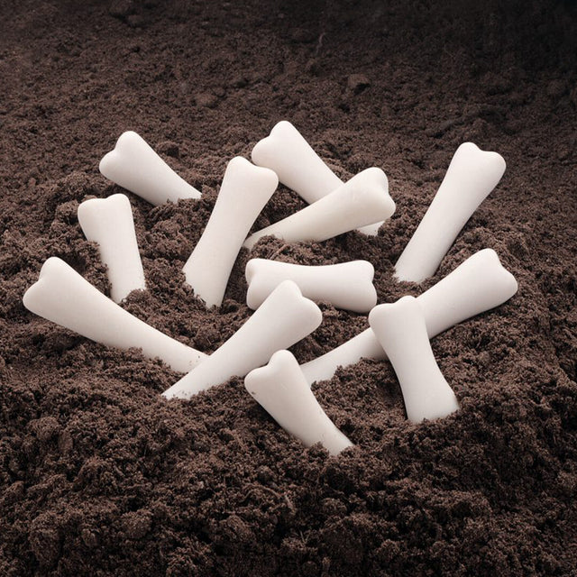 Digging up dinosaur bones? What child is not fascinated by the dinosaurs. Hide the bones and let children explore and dig.