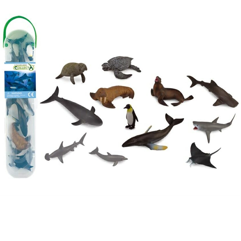collecta marine animals set A consists of handy mini animals. Use them in a themed bin or tuff tray to teach kids about aquatic life