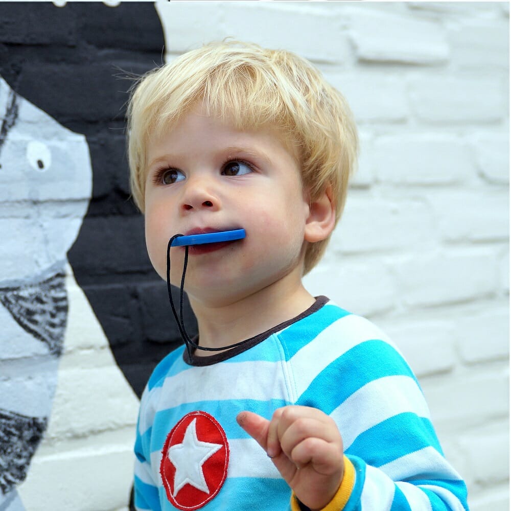 kauwsieraden van chewigem en ark voor kinderen en volwassenen met autisme die bijten op potloden of kleding